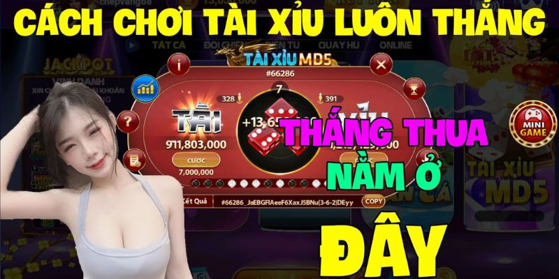 Cách chơi tài xỉu luôn thắng